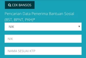 Cara Cek Bansos NIK KTP 2025: Mudah, Cepat, dan Resmi!