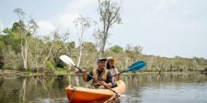 Ekspedisi Kutub dan Eco-Tourism 2025: Wisata Alam Ekstrem dengan Kesadaran Hijau