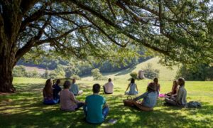 Gaya Hidup Sehat 2025: Mindfulness, Plant-Based Diet, dan Teknologi Kesehatan